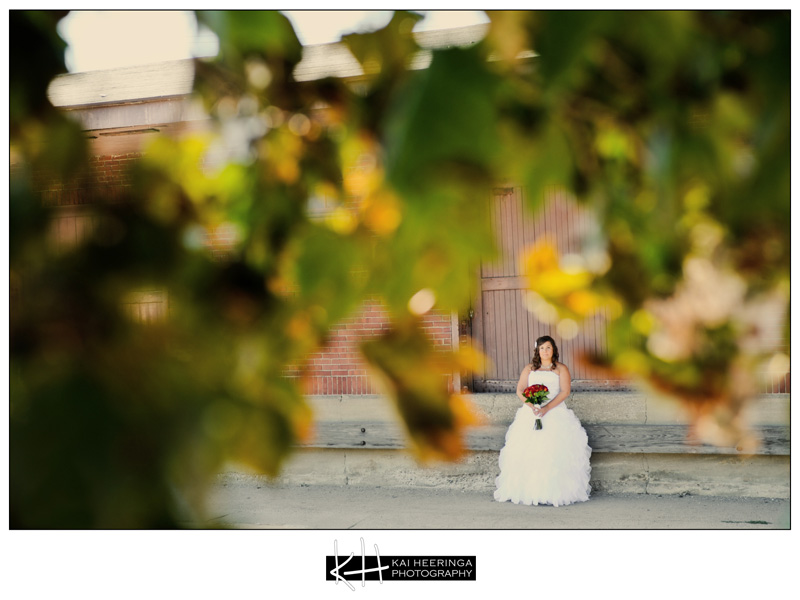 SaraJasonWedding-3 SaraJasonWedding-3