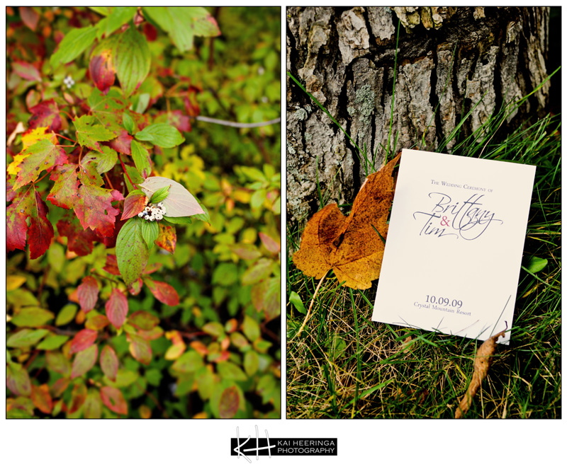 BrittanyTimWedding-20