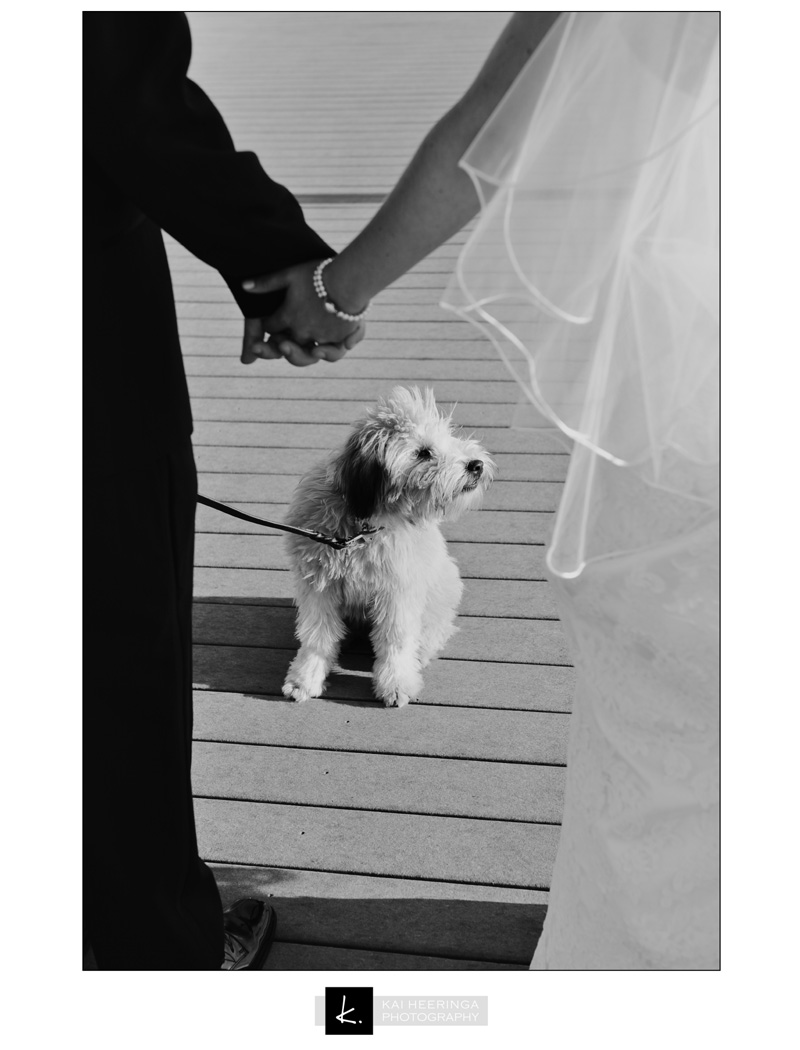 Anna-Chris-Wedding-25