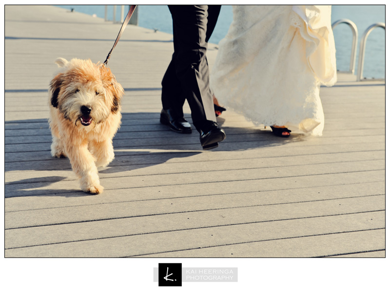 Anna-Chris-Wedding-26